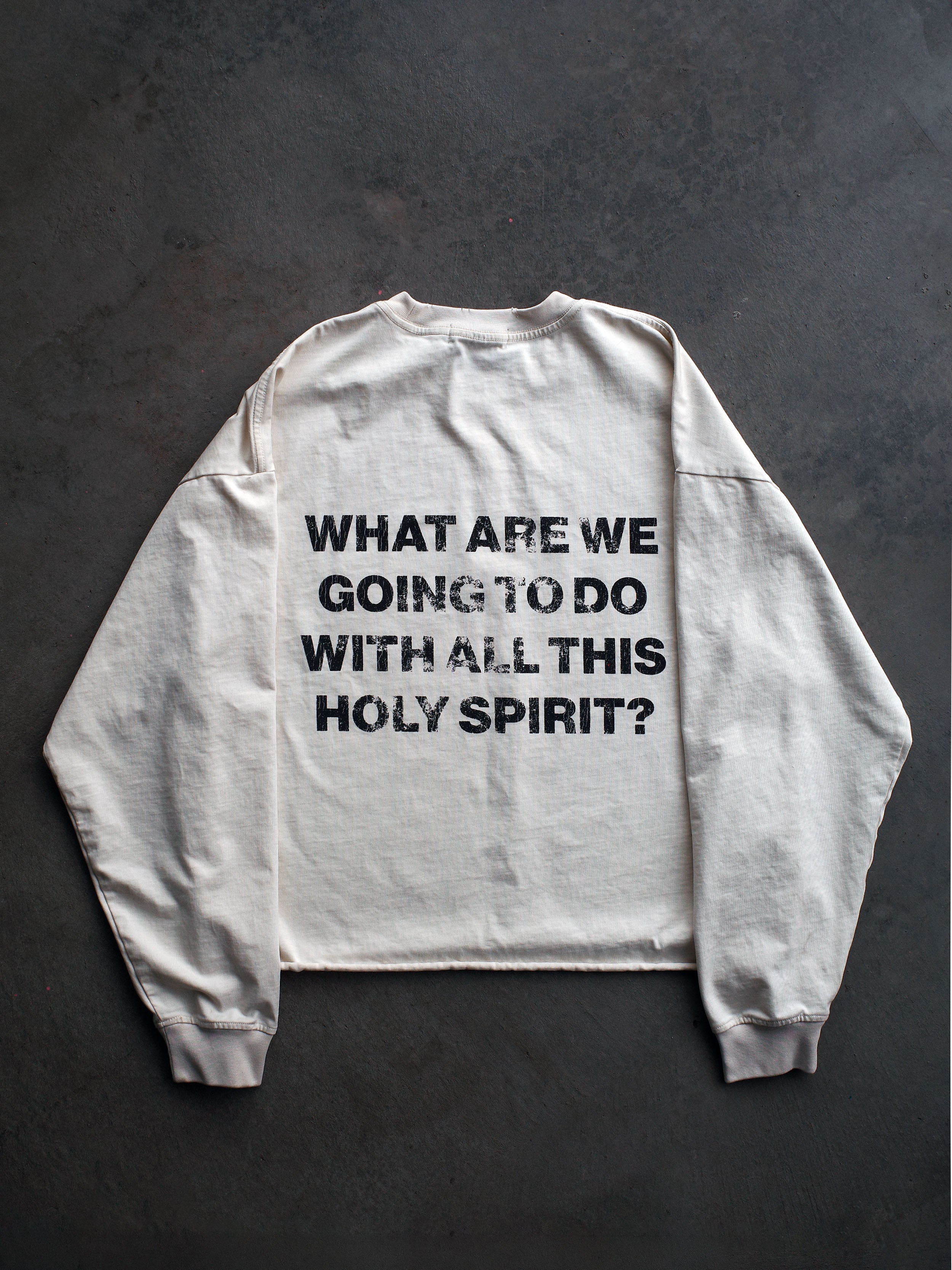 SPIRITMAXXING CROPPED LONG SLEEVE TEE