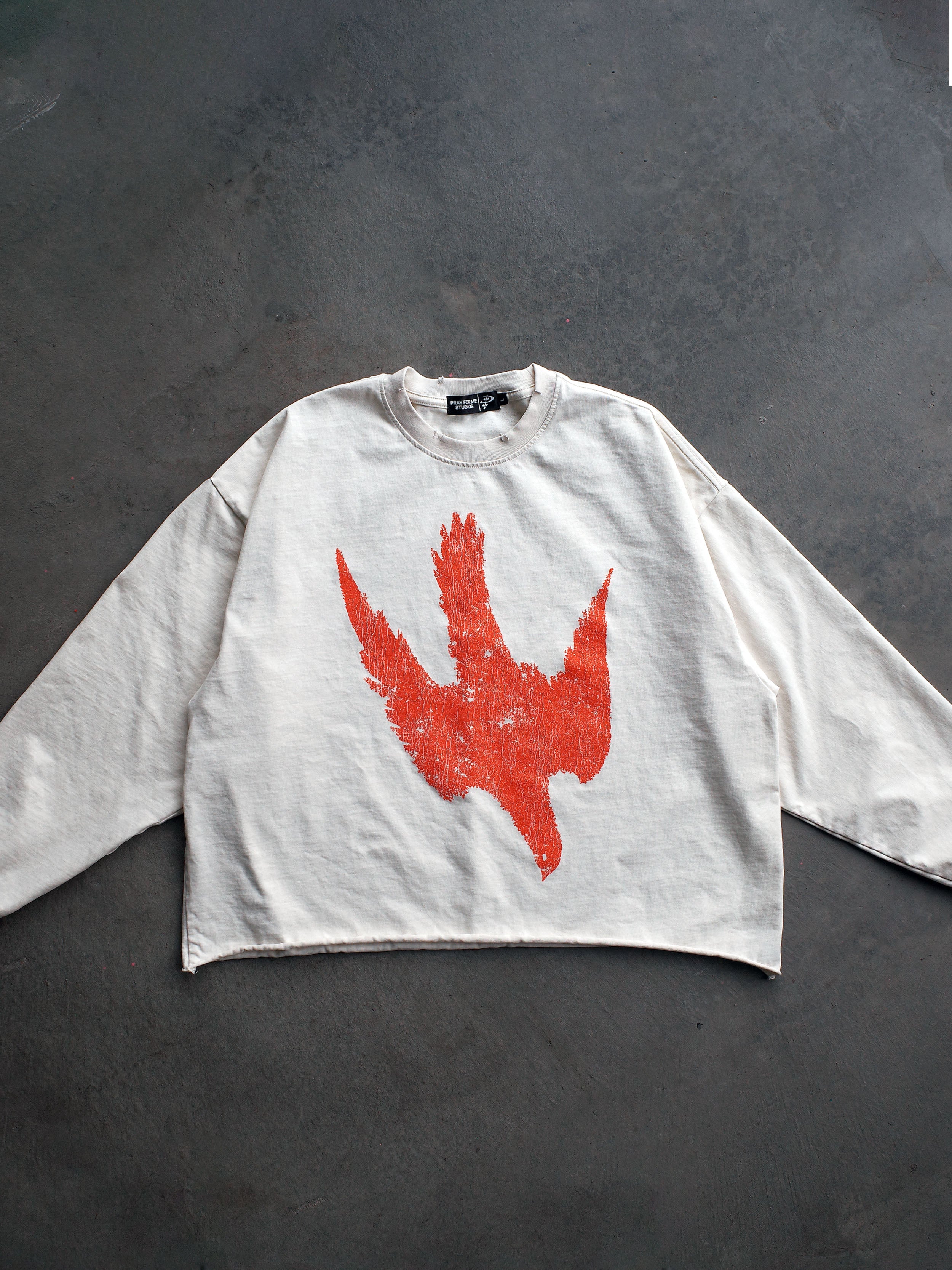SPIRITMAXXING CROPPED LONG SLEEVE TEE